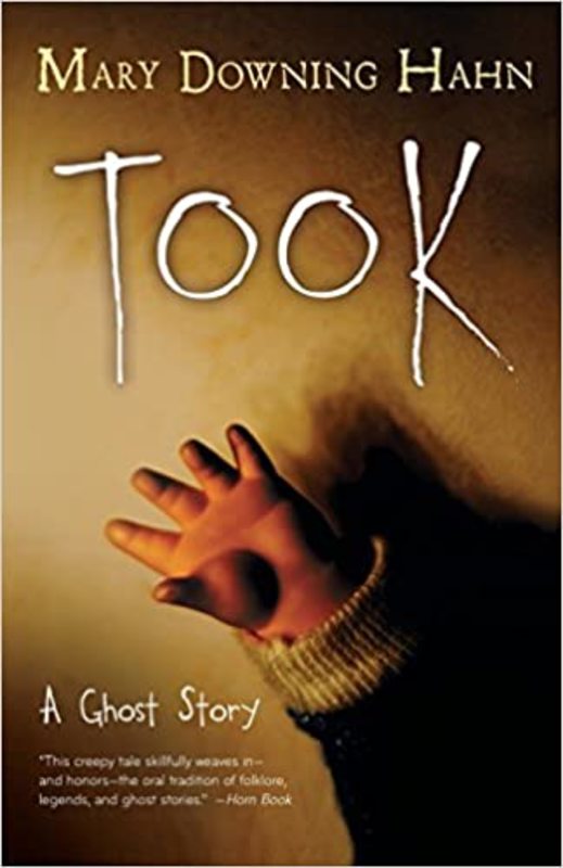 Book cover for "Took" by Mary Downing Hahn