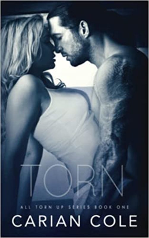 All Torn Up book cover