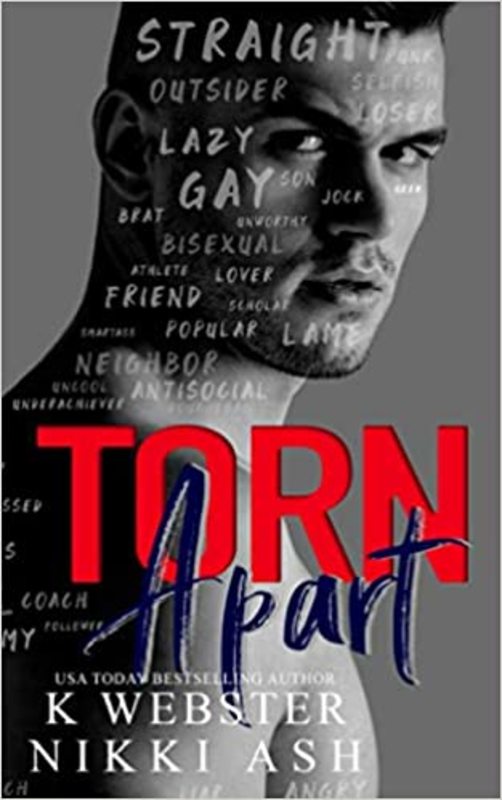 Book cover for "Torn Apart" by Nikki Ash