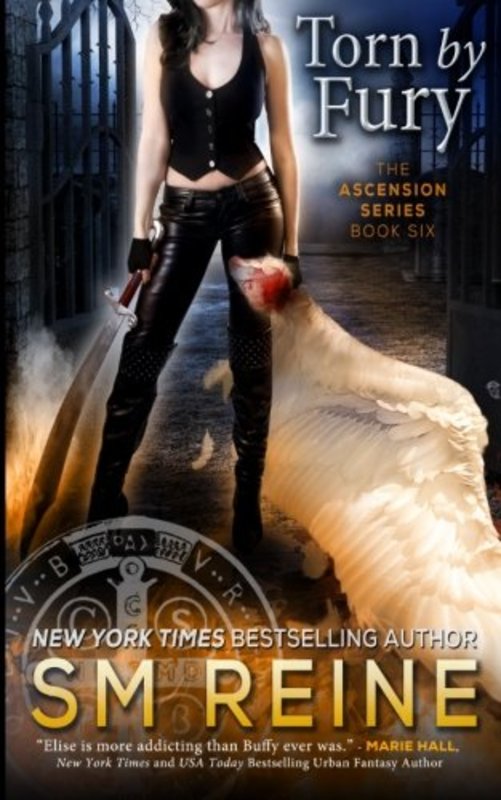Book cover for "Torn by Fury" by SM Reine