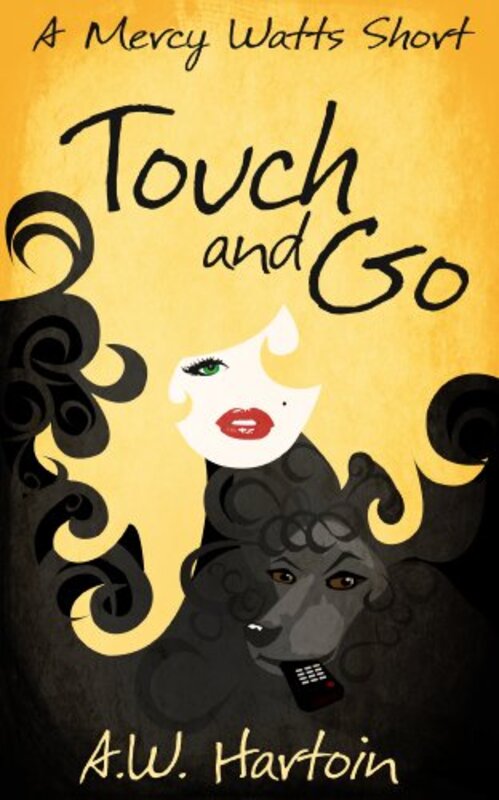 Book cover for "Touch and Go" by AW Hartoin