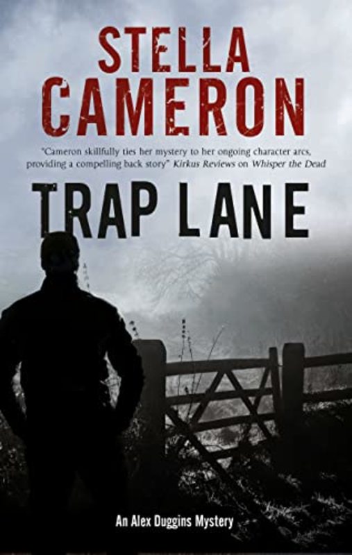 Stella Cameron book cover