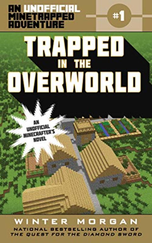 Book cover for "Trapped in the Overworld" by Winter Morgan