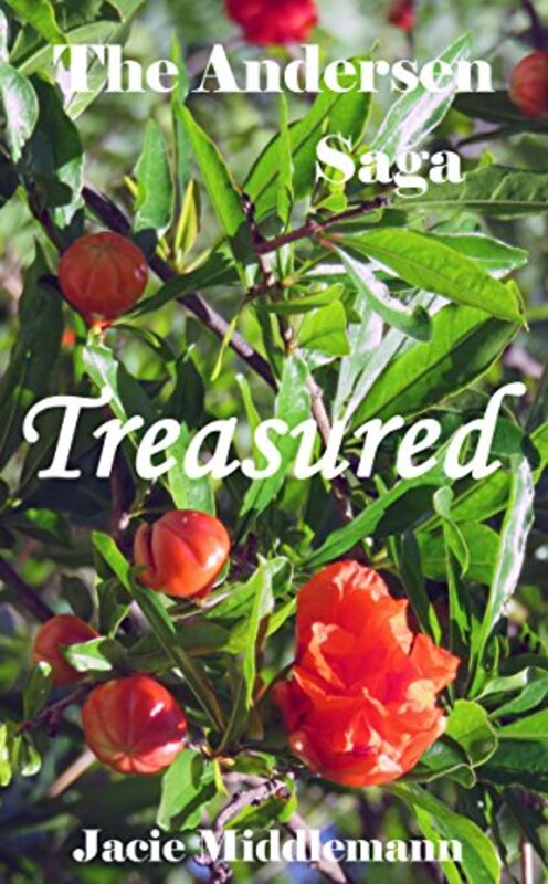 Book cover for "Treasured" by Jacie Middlemann