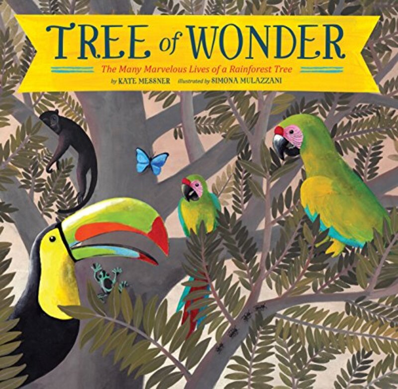 Book cover for "Tree of Wonder" by Kate Messner