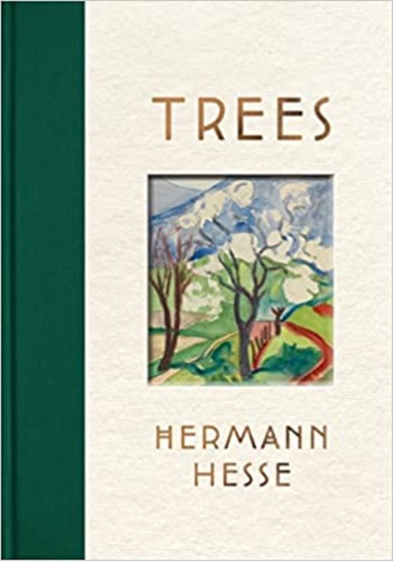 Hermann Hesse book cover