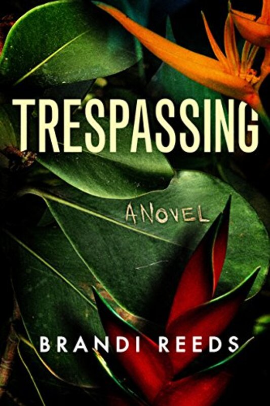 Brandi Reeds book cover