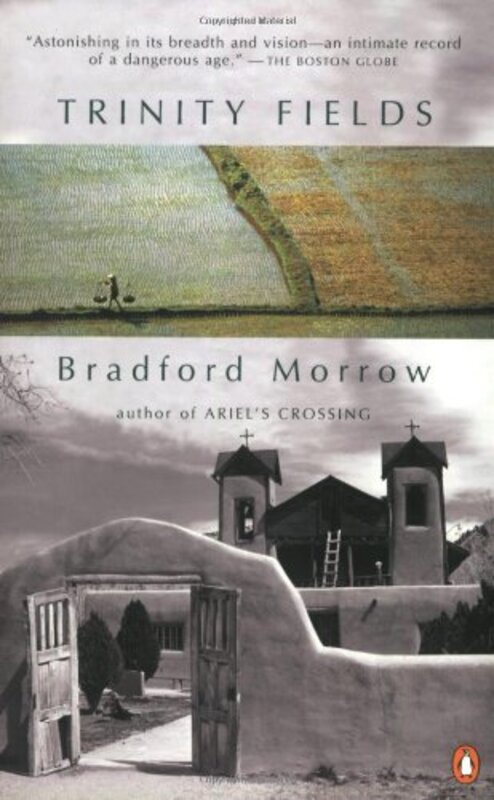 Book cover for "Trinity Fields" by Bradford Morrow