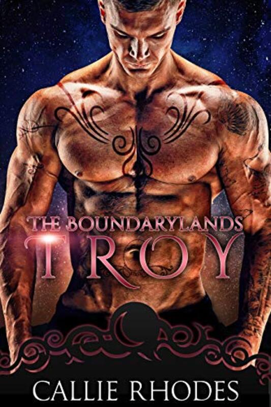 Book cover for "Troy" by Callie Rhodes