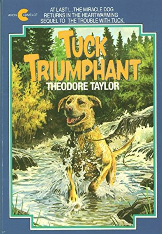 Book cover for "Tuck Triumphant" by Theodore Taylor