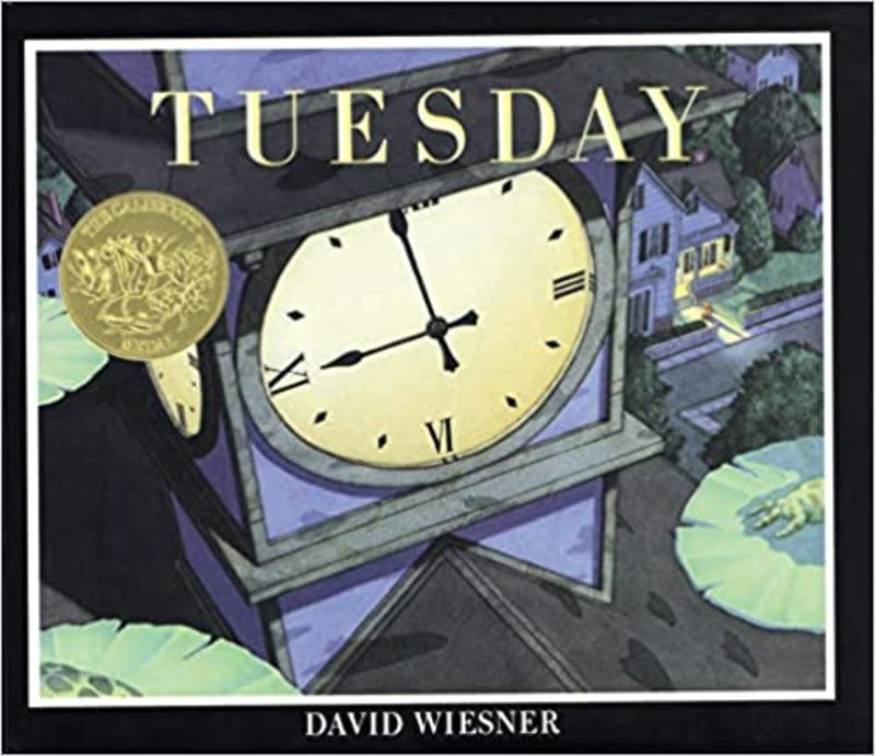 Book cover for "Tuesday" by David Wiesner