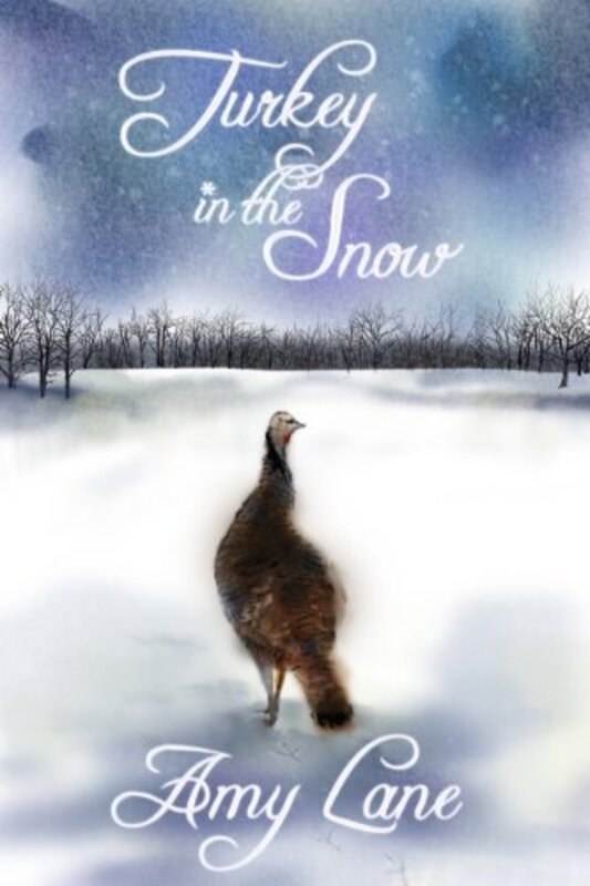 Book cover for "Turkey in the Snow" by Amy Lane