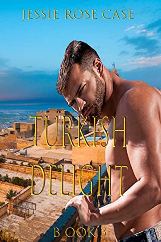 Book cover for "Turkish Delight: Book 3" by Jessie Rose Case