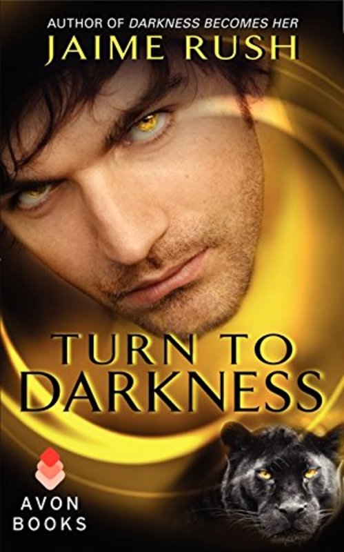 Book cover for "Turn to Darkness" by Tina Wainscott
