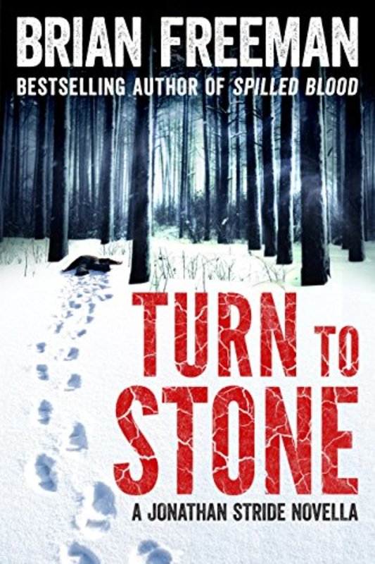 Book cover for "Turn to Stone" by Brian Freeman