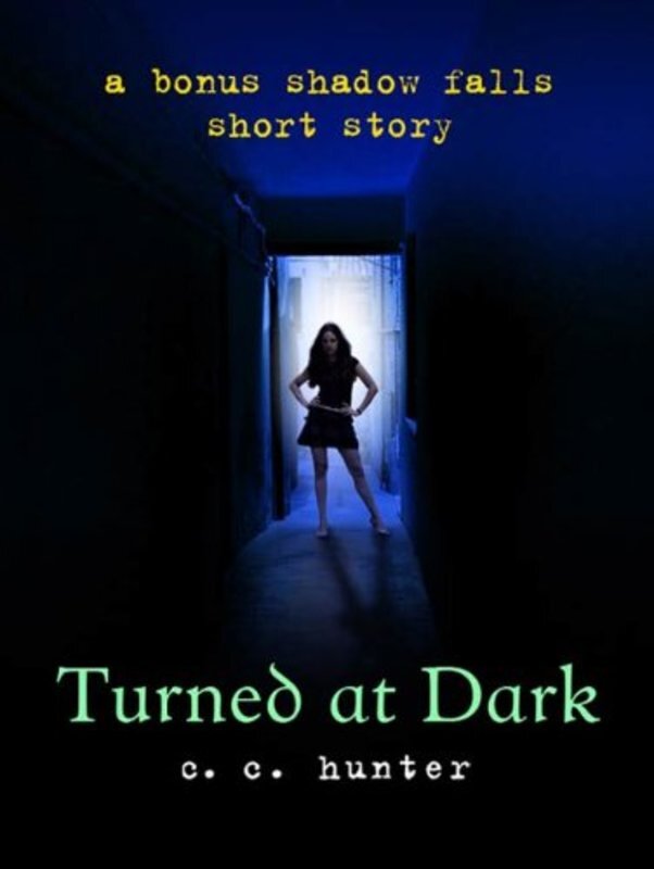 Book cover for "Turned at Dark" by Christie Craig