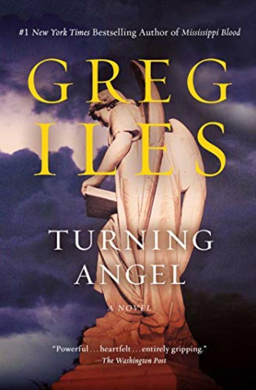 Book cover for "Turning Angel" by Greg Iles