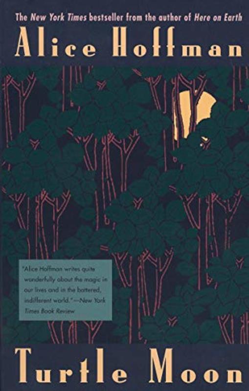 Book cover for "Turtle Moon" by Alice Hoffman
