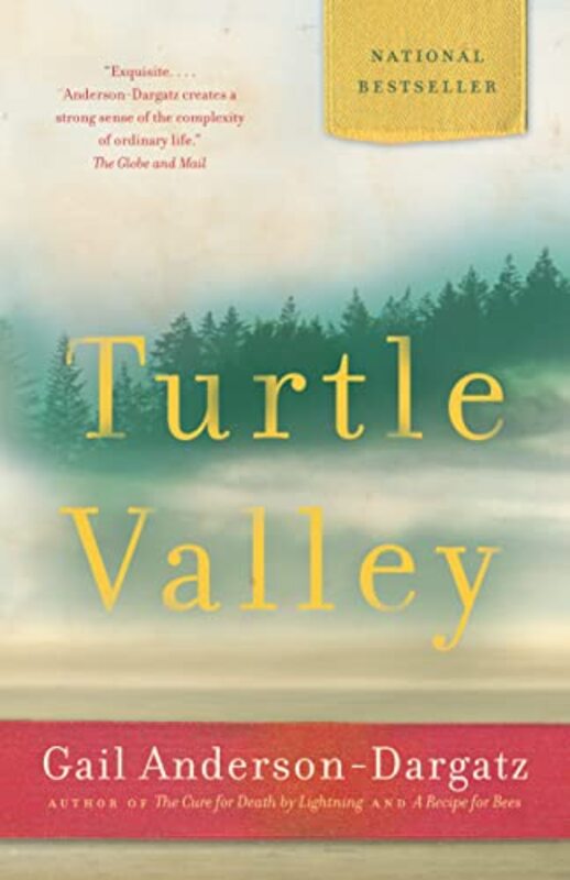 Book cover for "Turtle Valley" by Gail Anderson Dargatz