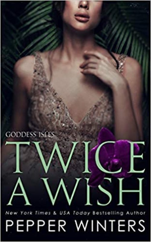 Book cover for "Twice a Wish" by Pepper Winters