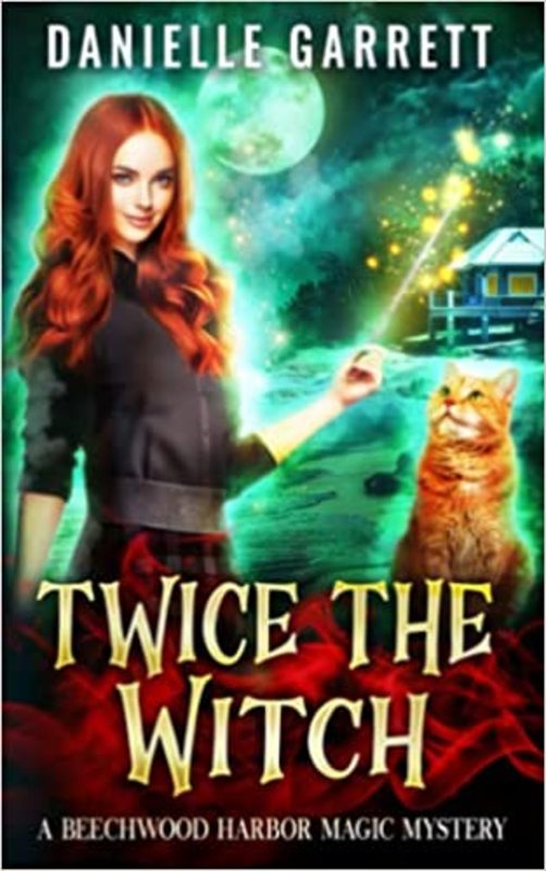 Book cover for "Twice the Witch" by Danielle Garrett