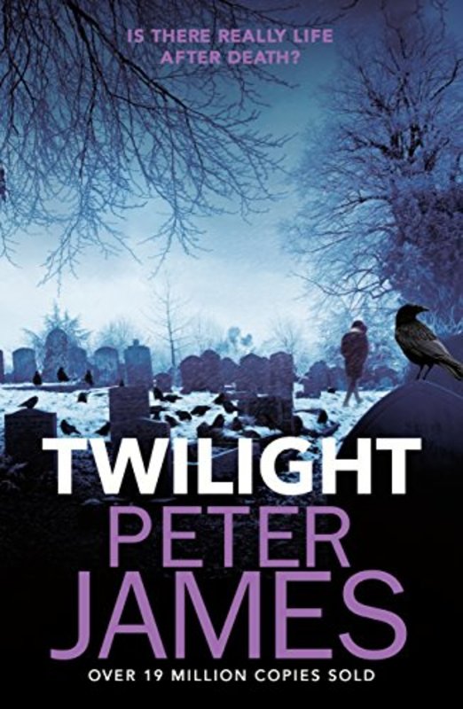 Book cover for "Twilight" by Peter James