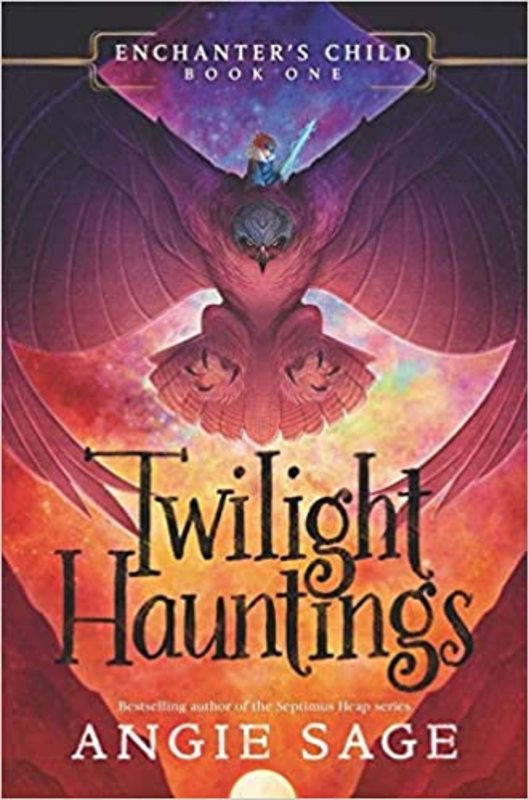 Angie Sage book cover