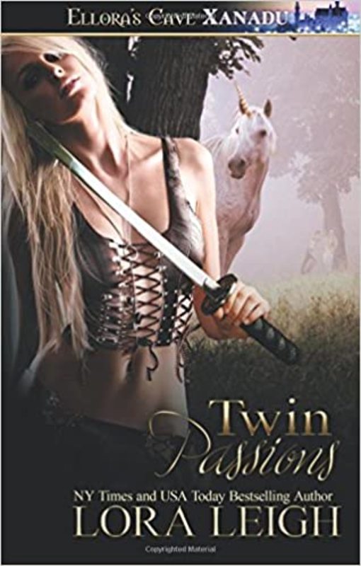 Wizard Twins book cover