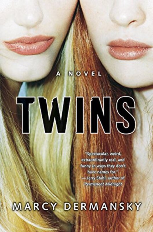 Book cover for "Twins" by Marcy Dermansky