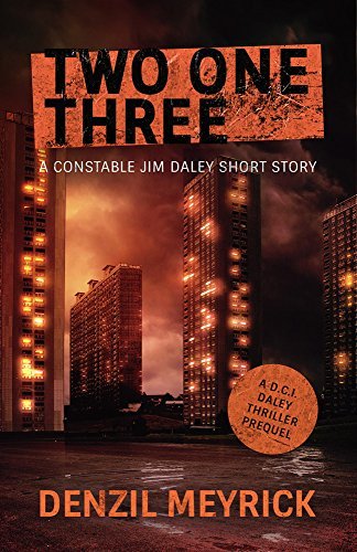 Book cover for "Two One Three" by Denzil Meyrick
