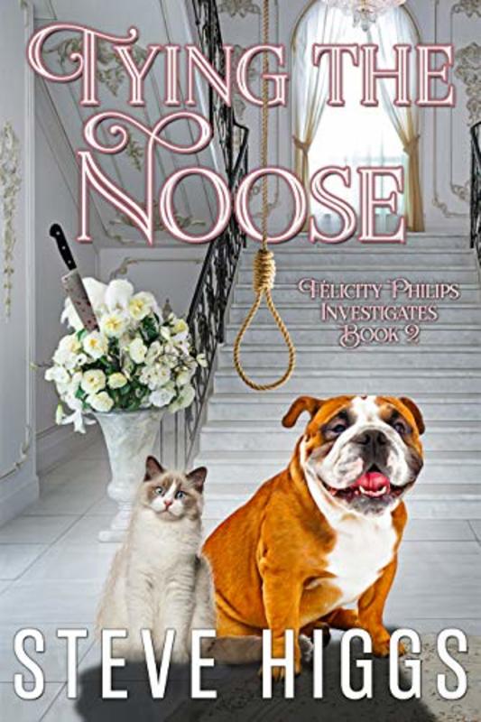 Book cover for "Tying the Noose" by Steve Higgs