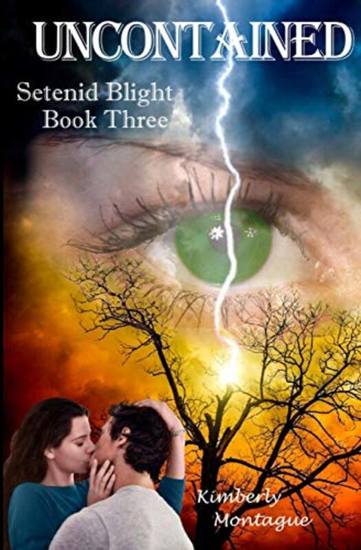 Kimberly Montague book cover