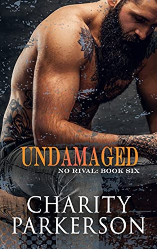 Book cover for "Undamaged" by Charity Parkerson
