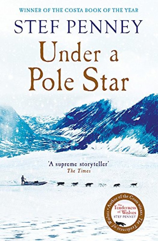 Book cover for "Under a Pole Star" by Stef Penney