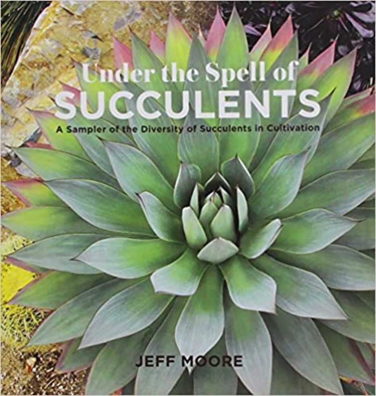 Book cover for "Under the Spell of Succulents" by Jeff Moore