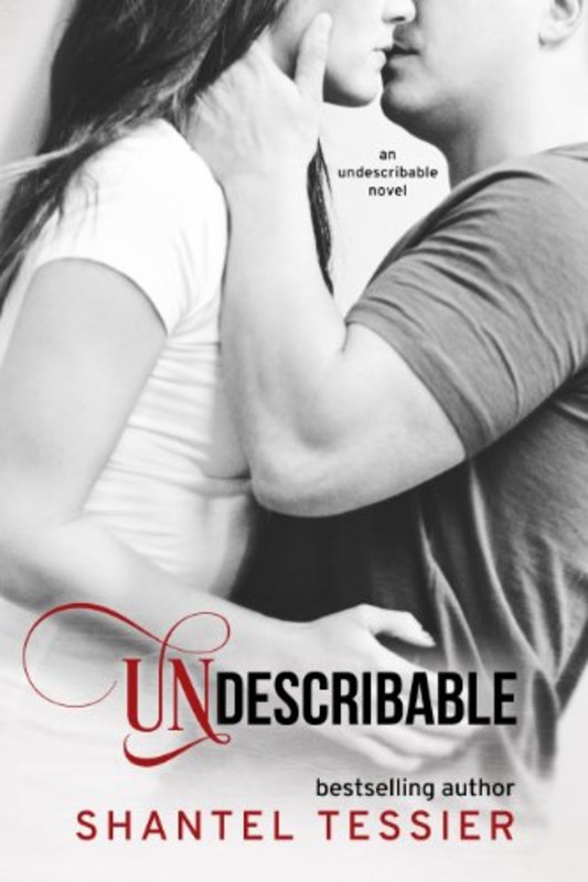 Book cover for "Undescribable" by Shantel Tessier