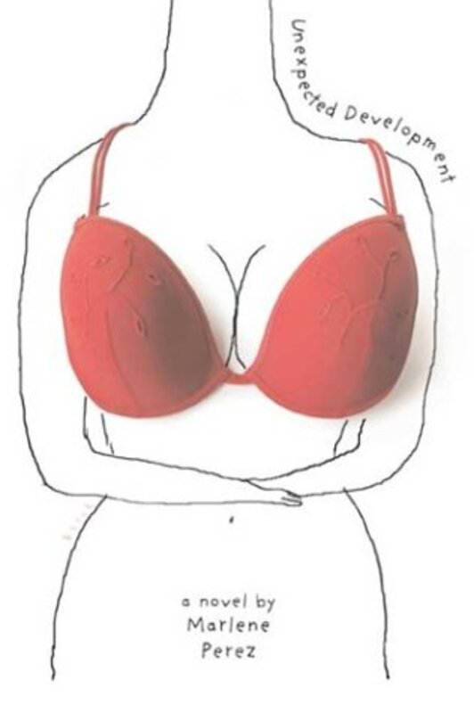 Book cover for "Unexpected Development" by Marlene Perez