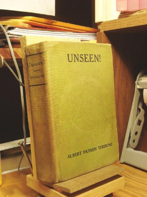 Book cover for "Unseen!" by Albert Payson Terhune