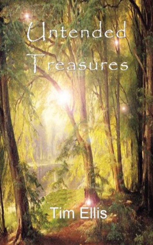 Book cover for "Untended Treasures" by Tim Ellis