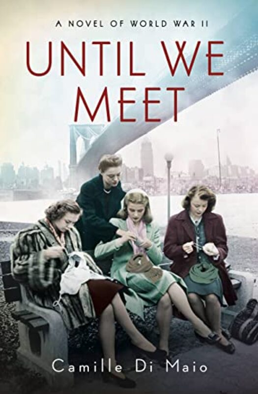 Camille Di Maio book cover