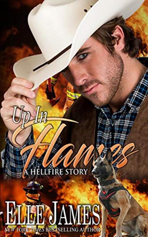 Book cover for "Up In Flames" by Elle James