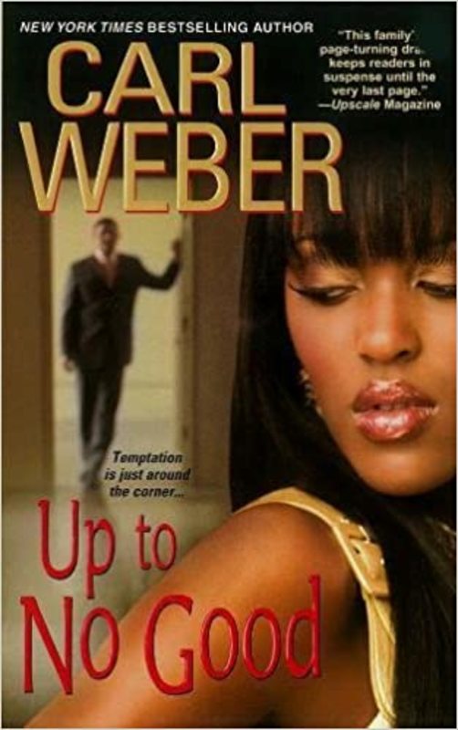 The Church Series book cover