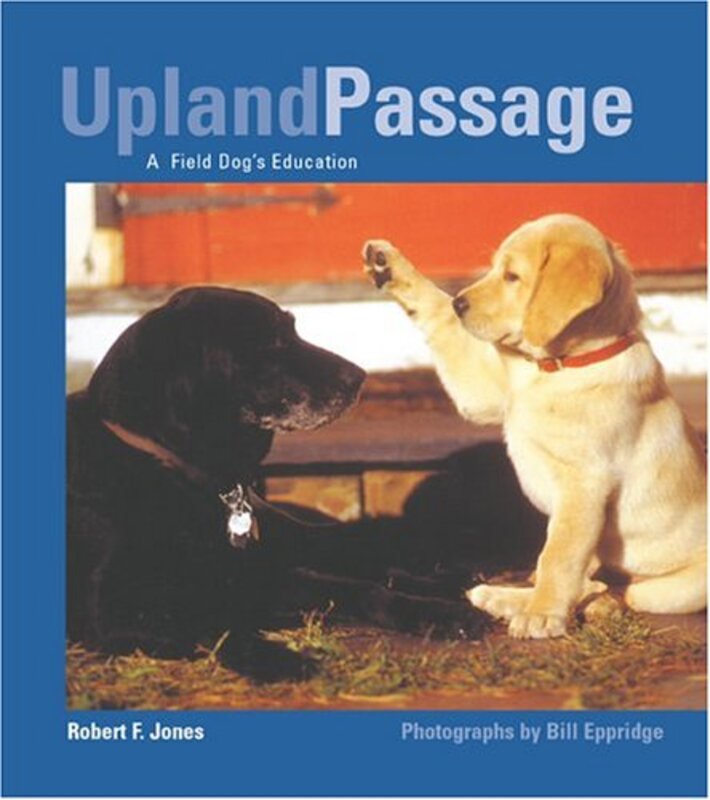Book cover for "Upland Passage" by Robert F Jones