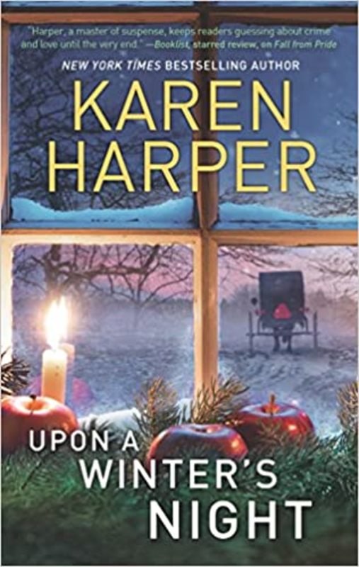 Amish Home Valley book cover