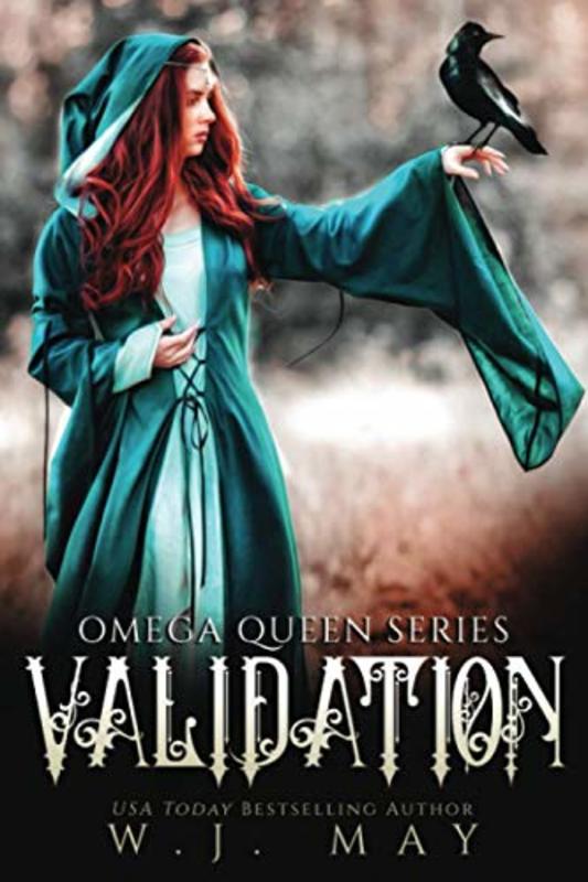 Book cover for "Validation" by WJ May