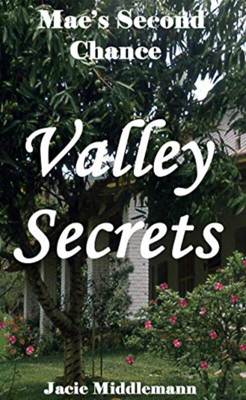 Book cover for "Valley Secrets" by Jacie Middlemann