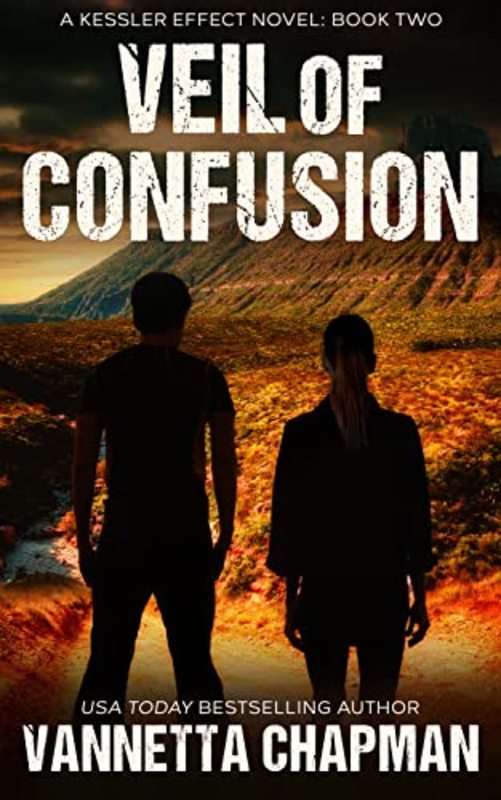 Book cover for "Veil of Confusion" by Vannetta Chapman