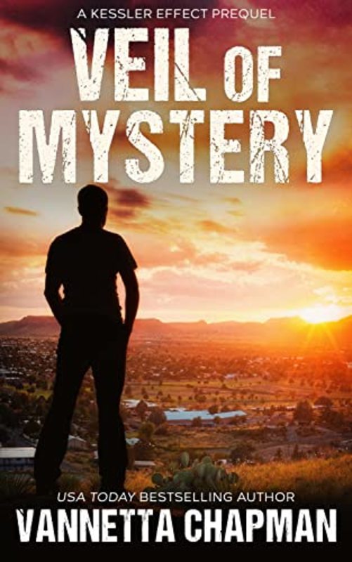Book cover for "Veil of Mystery" by Vannetta Chapman