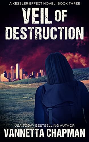 Book cover for "Veil of Destruction" by Vannetta Chapman