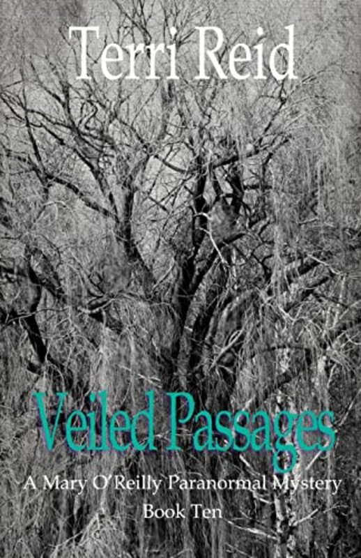 Book cover for "Veiled Passages" by Terri Reid